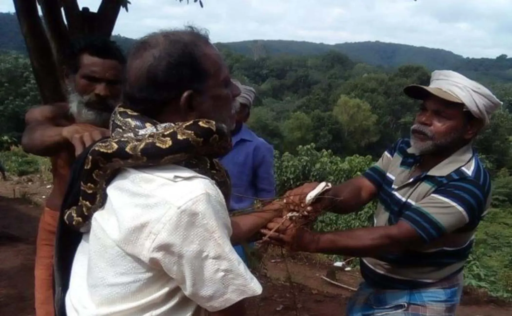 A man was rescued from a python by locals after the snake IN  Thiruvananthapuram, today. 